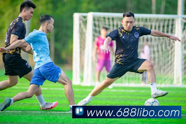 libo立博英国平台生态图